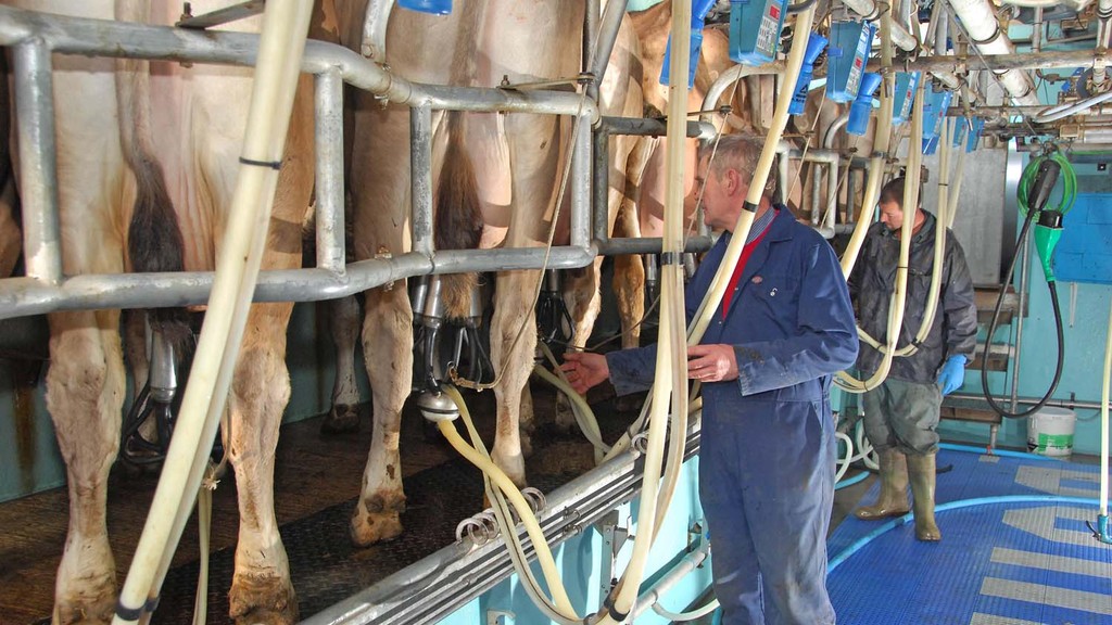Make sure any self-employed farm workers really are self-employed