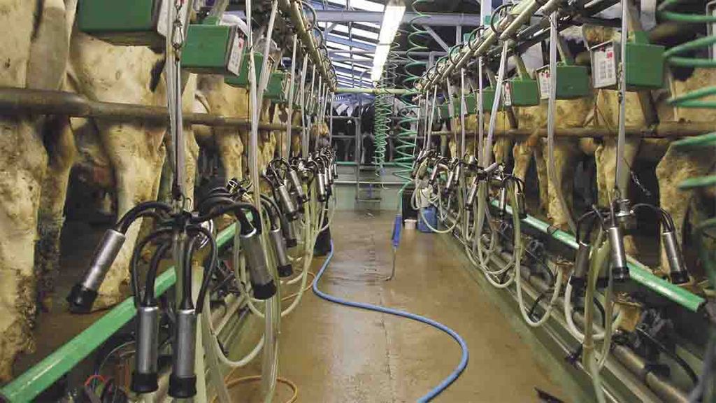 Meadow Foods to increase milk prices by 2ppl