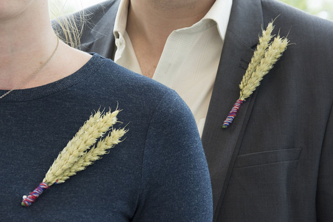 MPs to wear wheat pin badges to Prime Minister's Questions in support of British farmers
