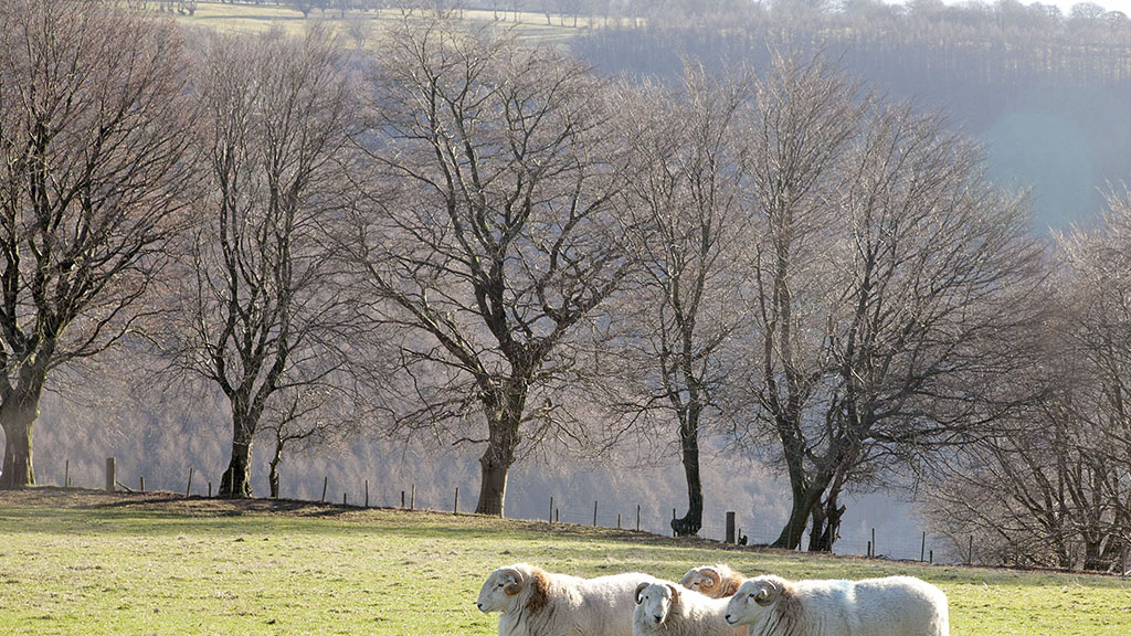 Farmers concern over short term tenancies