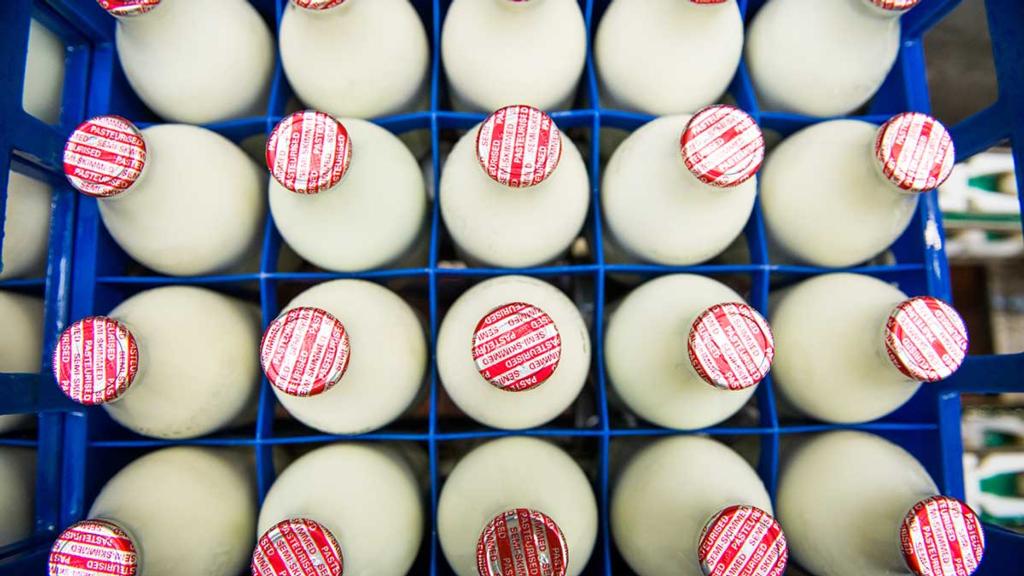 Dairy launches movement to tackle plastic waste and back local milkmen