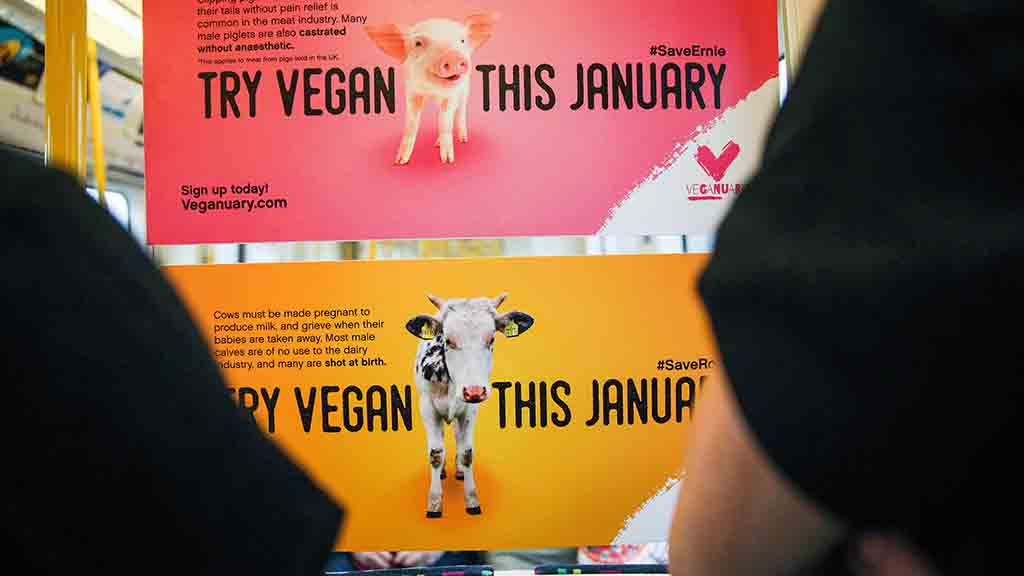 Council meat ban branded 'slap in the face' for farmers