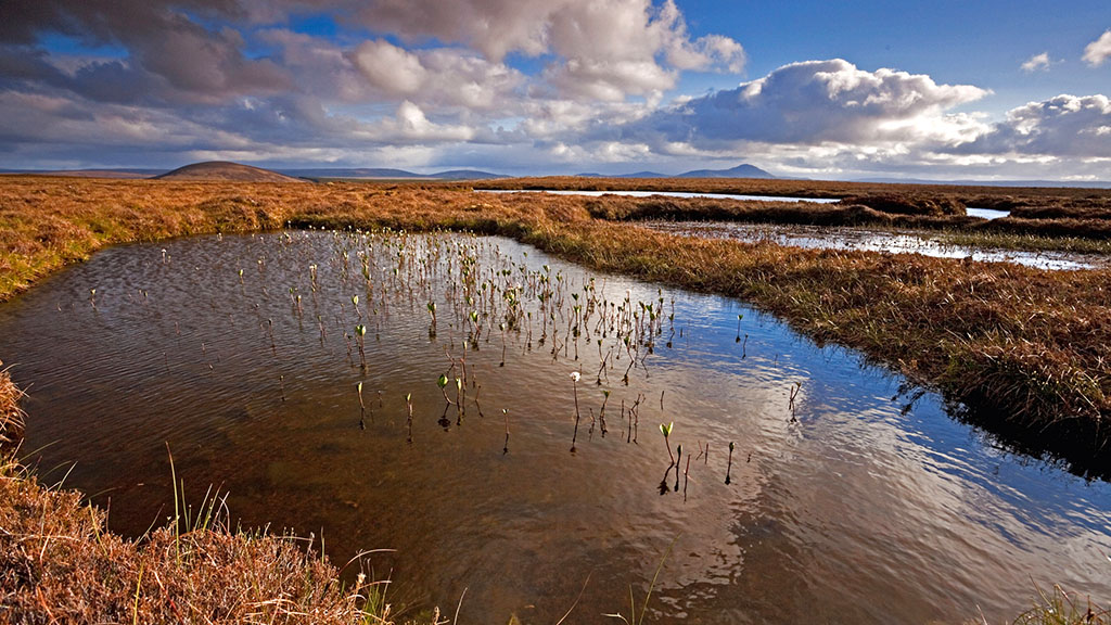 Fears over private £70m peatland restoration scheme