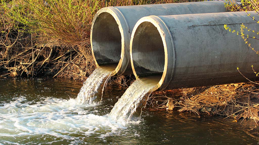 Water company fined after sewage spill kills 5,000 fish