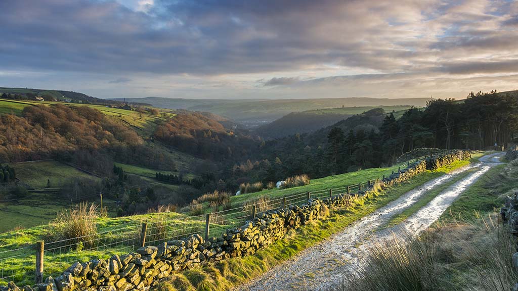 Visa rule could halt rural decline, says new report