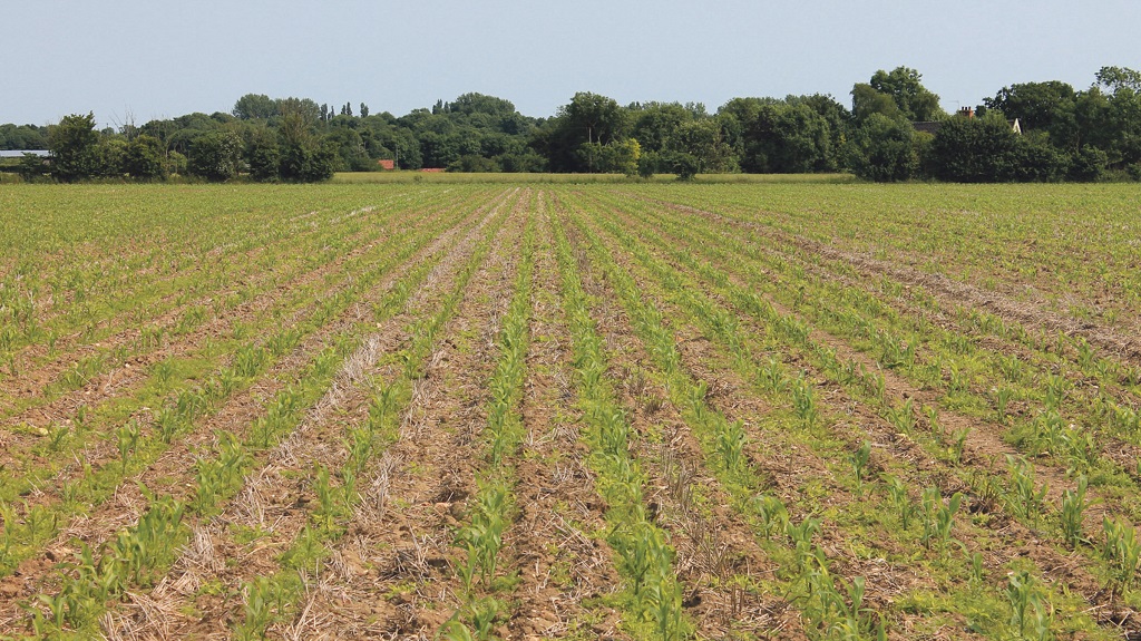 Environment and business growth focus of farm capital grants