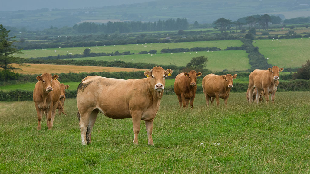 Grants put farmers in the driving seat on research