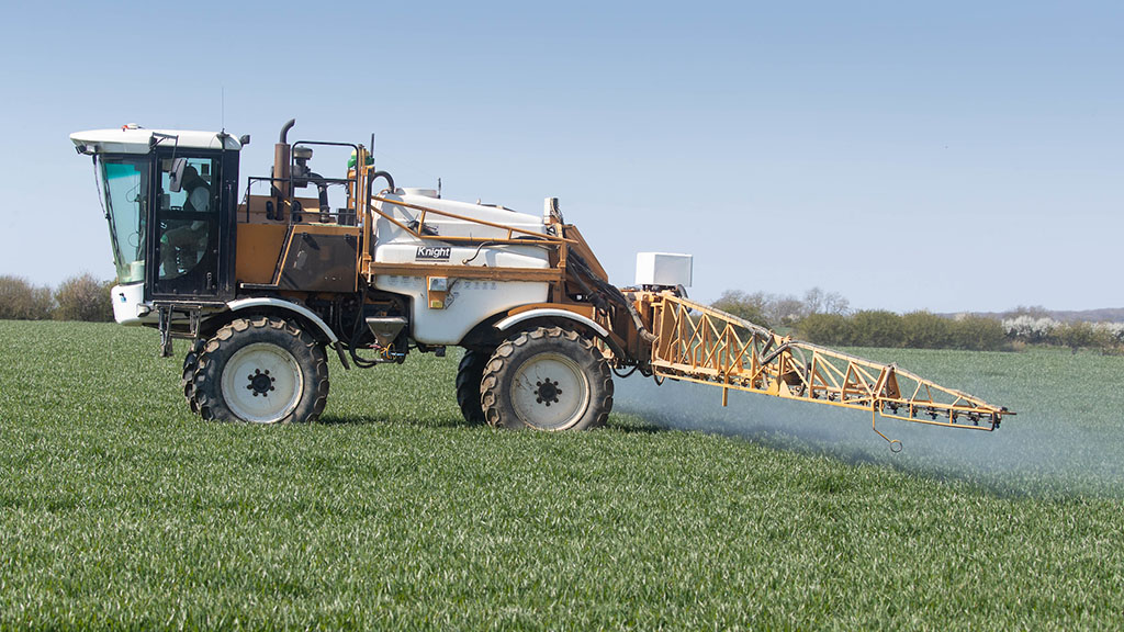Wheat T1s: What to consider