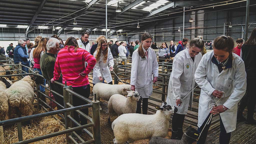 Farmer confidence at its lowest in three years