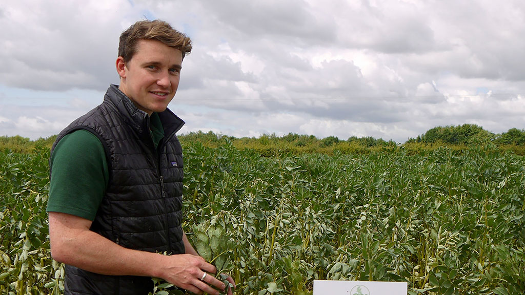 New officeholder team appointed at Pulses UK