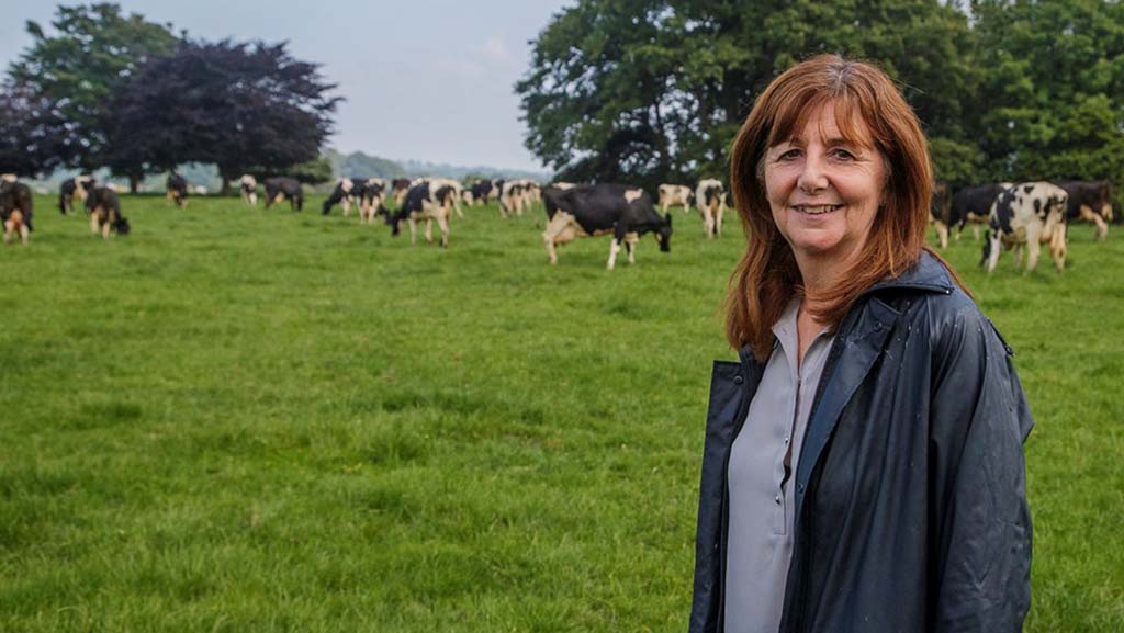 New podcast: Farmers see no end in sight on bovine TB
