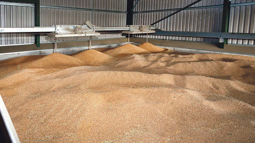 Prepare for another season of grain market volatility