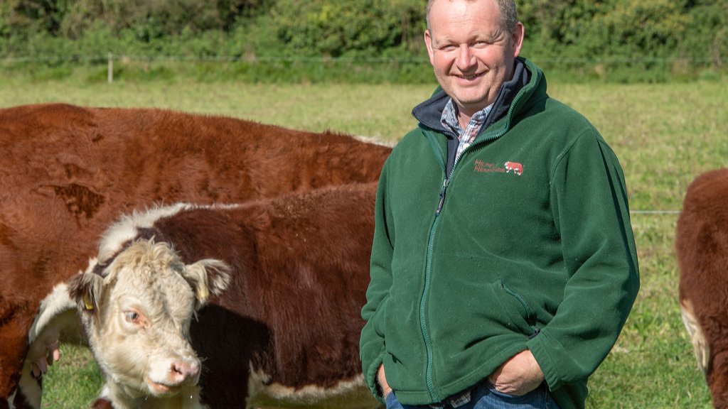 In Your Field: Mike Harris - 'I am a fan of promoting our herd on Facebook'