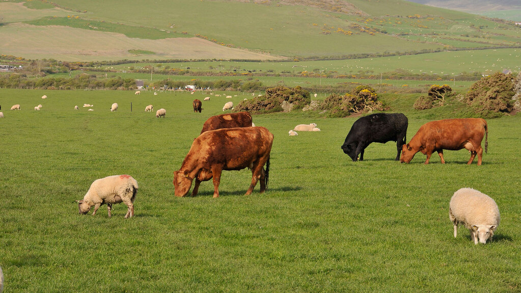 Uplands farmers locked out of ELMs scheme