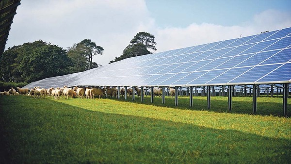 Poor rural grid connections restricting renewable investment 