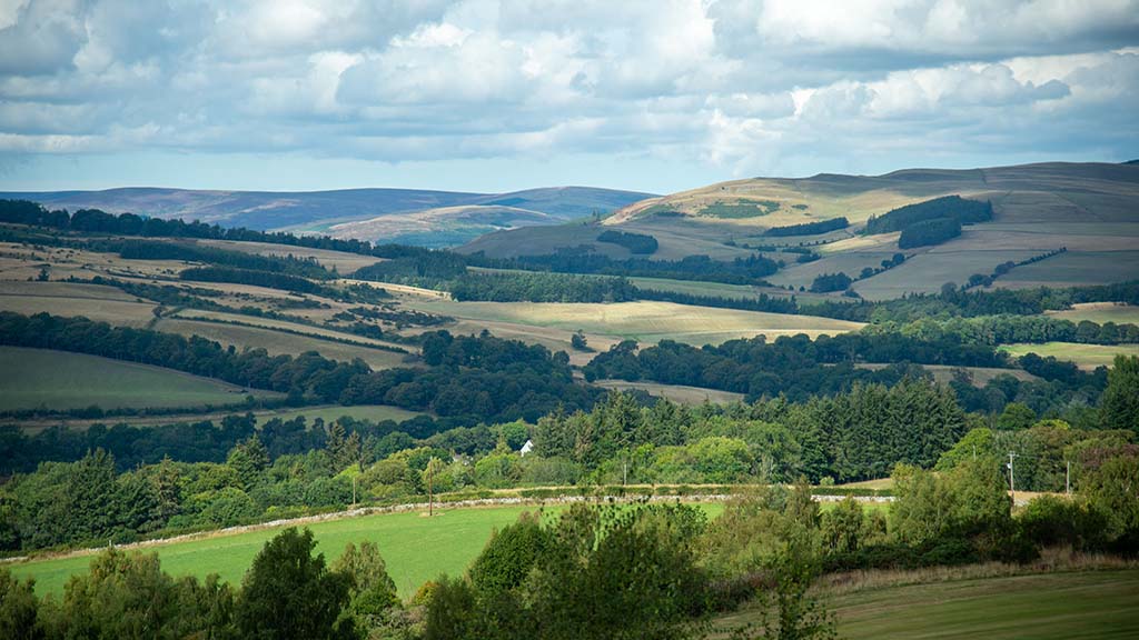 Concern of heavy emphasis around calculating carbon