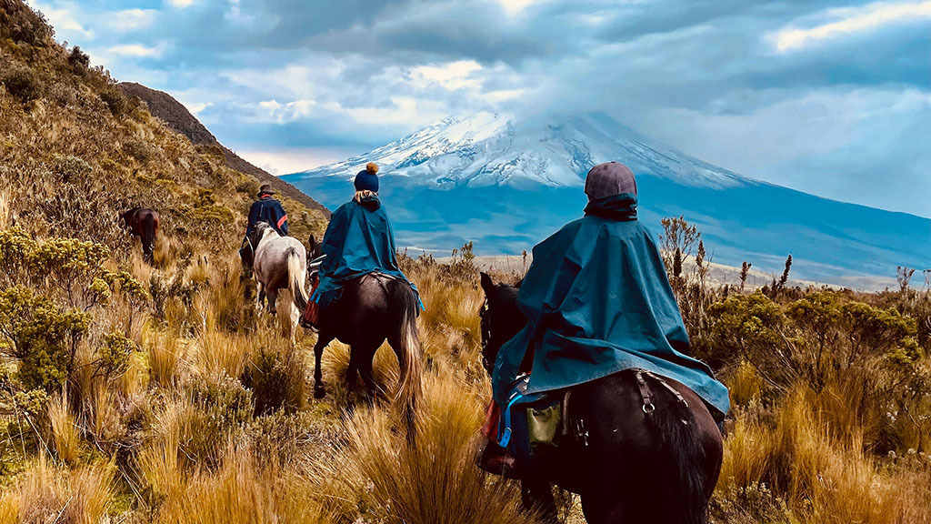 Farming in the shadow of volcanoes
