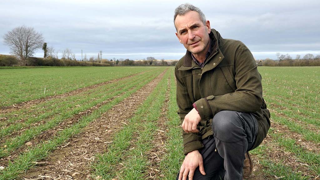 How one farmer is rethinking T1 to get on top of yellow rust