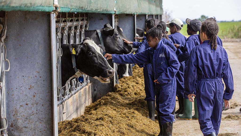 Farms for City Children: 'I had never seen stars before that visit. It changed my life'
