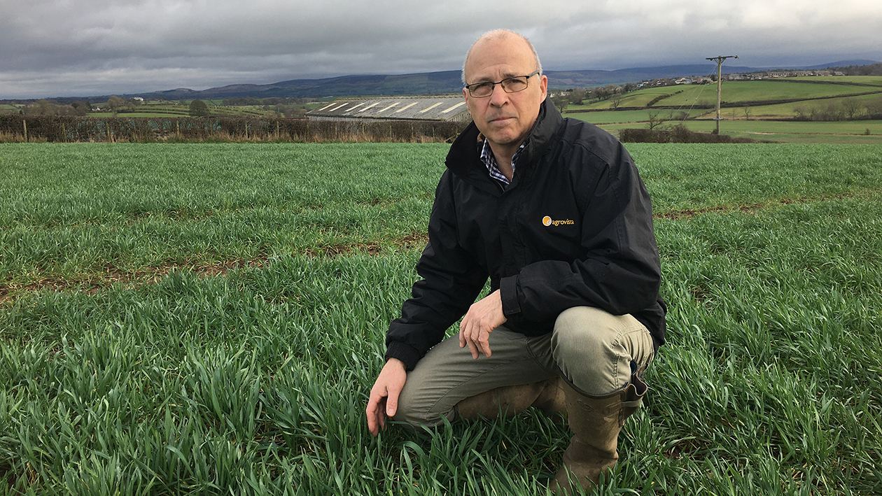 Crop walk with Simon Nelson: Early nitrogen is key following spring drilling delays
