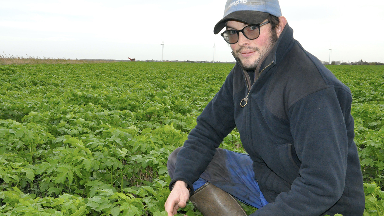 How Cambridgeshire farmer cut input costs in half with new approach to soil health