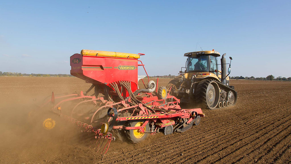 Clarity given on payment rates for farm saved seed