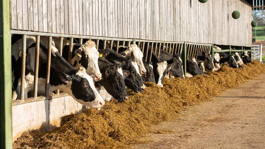DAIRY SPECIAL: Regulations surrounding phosphates on farms ‘are coming’